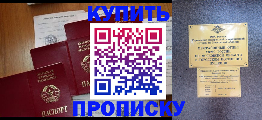 прописка в квартире в Новодвинске